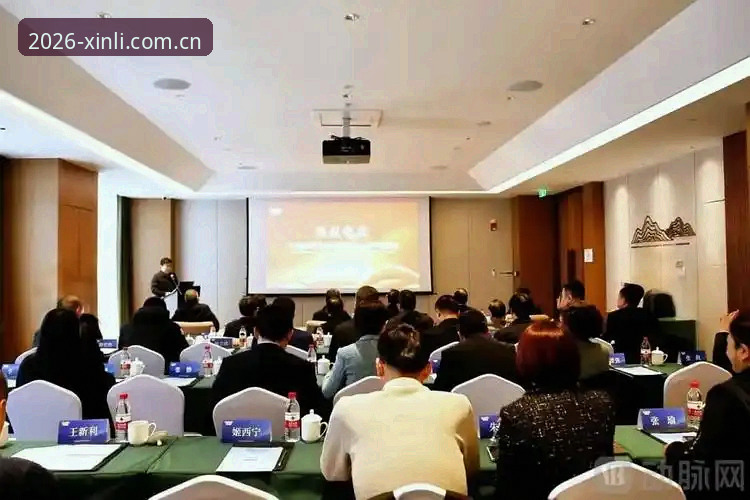 新利体育2026新版app安卓版实用指南：老用户分享的下载安装与体验心得